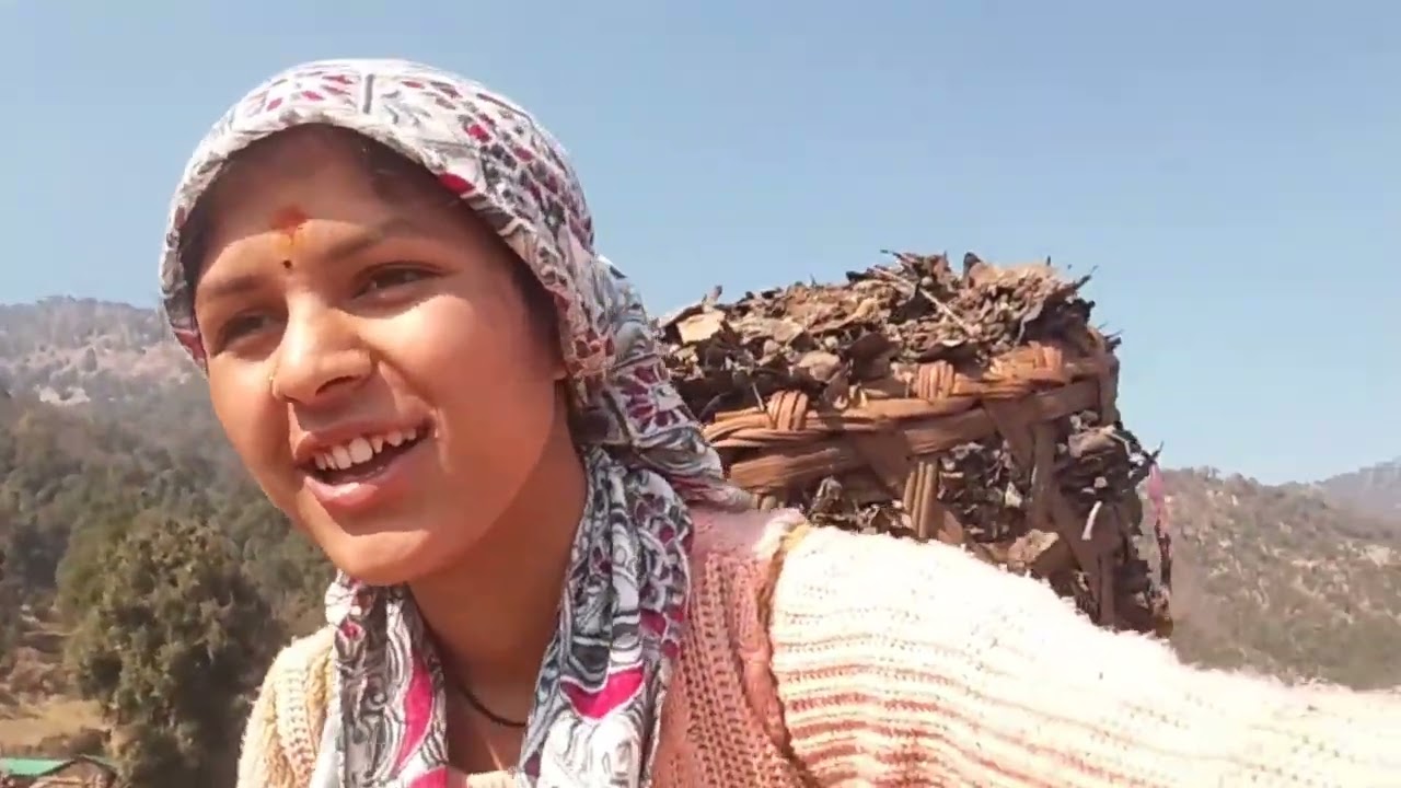 आज गोभर ढोलने घ्यान छानी में 😅👉