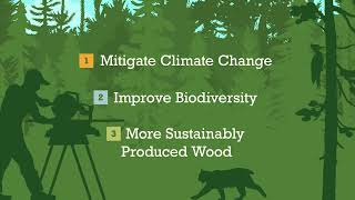 Keeping Our Forests Healthy And Locking Up Carbon