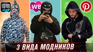 3 ВИДА МОДНИКОВ 2023