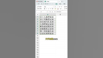 高手都这样制作文件夹侧标签？ #办公技巧 #EXCEL #WPS