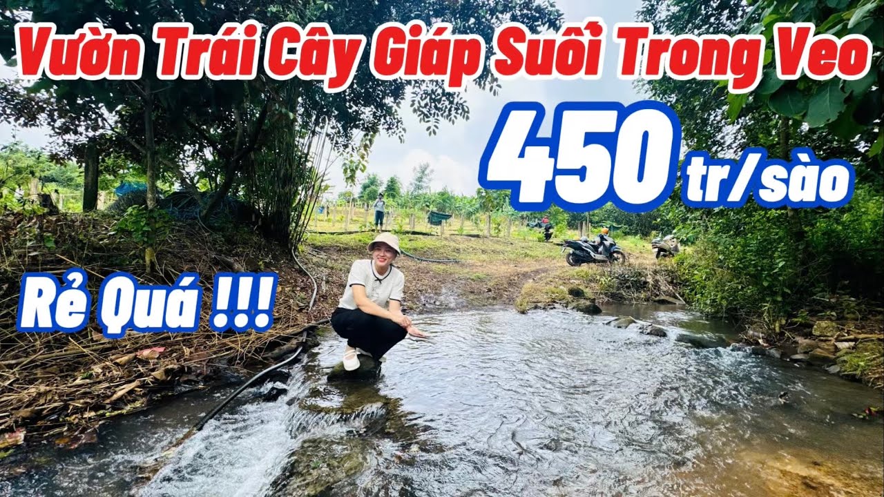 BĐS ĐỒNG NAI, Bán Vườn Trái Cây Giáp Suối Trong Veo, Nước Chảy Quanh Năm, Xe Hơi Vào Tận Đất