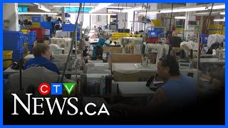 London sees highest unemployment rate in Canada: tariff impacts felt locally