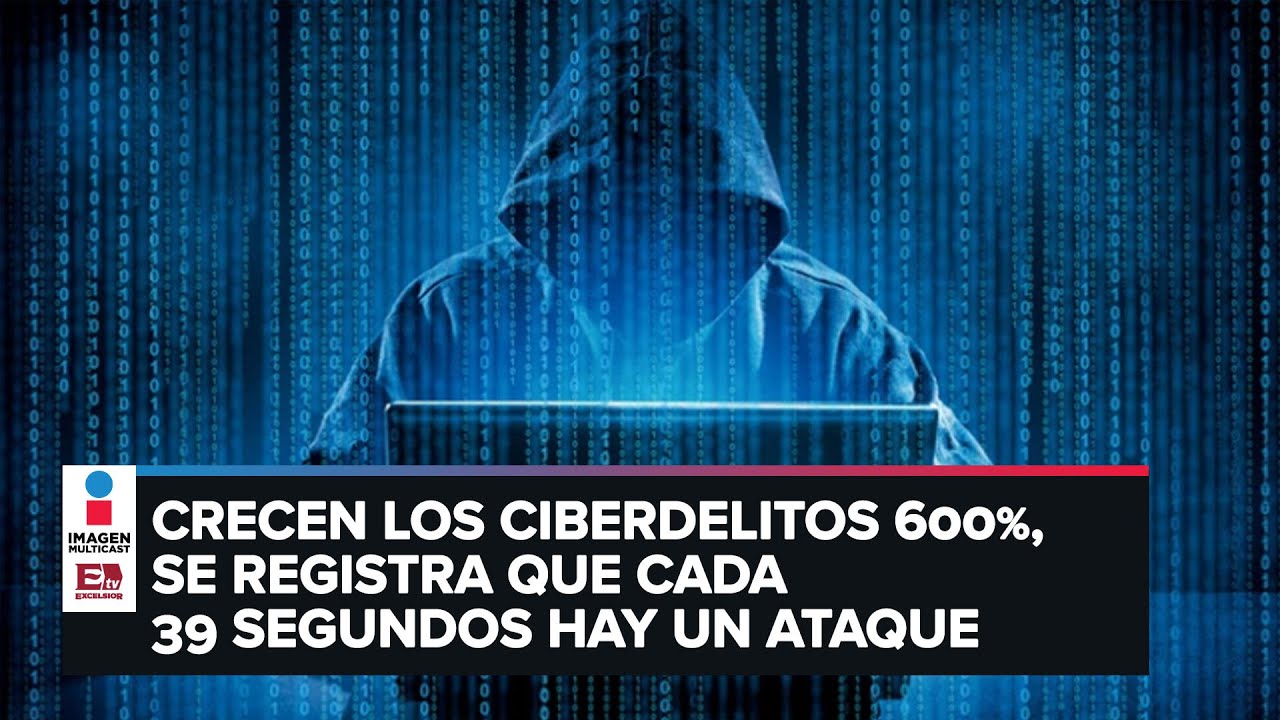 Onu revela aumento de ciberdelitos durante pandemia I Noticias ...