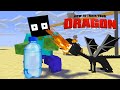 MONSTER SCHOOL : HOW TO TRAIN A DRAGON CHALLENGE - Minecraft Animation