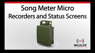 Song Meter Micro - Recorders and Status Screens | Bird Sound Recorder