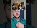 سبب مرض القطط فجأة؟ #حيوانات_أليفة #veterinarypharmacist #طبيب_بيطري #cat #animalhealth #اكسبلور