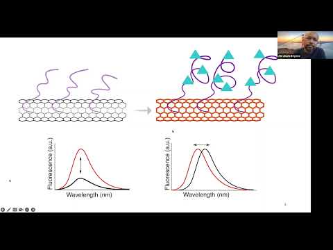 Abraham Beyene: "Imaging neuronal chemical efflux using DNA-carbon nanotube hybrid materials"
