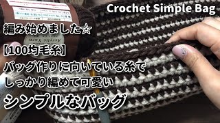 【100均毛糸】バッグ作りに向いている糸でシンプルなバッグ編み始めました☆Crochet Simple Bag☆かぎ針編みバッグ編み方