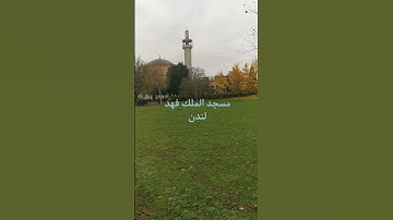 تلاوة مميزة للشيخ ماهر المعيقلي سورة الكوثر
