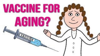 A senolytic vaccine for aging?