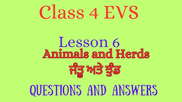 class 4 EVS lesson 6 Animals and Herds || ਜੰਤੂ ਅਤੇ ਝੁੰਡ || Questions and Answers