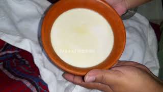 Home made yogurt by Ahmed kitchen || কিভাবে আমি টক দই বানাই