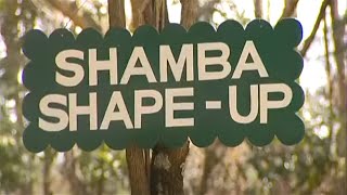 Shamba Shape Up - Napier Grass