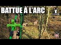 CHASSE EN BATTUE À L&#39;ARC : SANGLIERS ET CHEVREUILS À MOINS DE 10 MÈTRES !!!