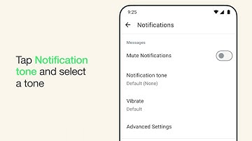 How to customize conversation tones for an individual or group chat | WhatsApp