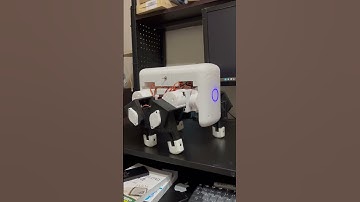 四足歩行チャン　サーボモータDS3218逆運動学で四足歩行ロボット　#podcast #Python #3dプリンタ #ラズベリーパイpico