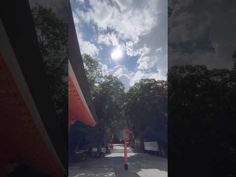 #狐の嫁入り 光も不思議と狐に見える  #宇佐神宮