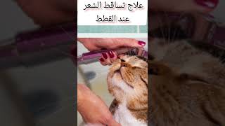 علاج مشكلة تساقط الشعر عند القطط (الاسباب و العلاج ) 🐈🐱 #pets  #قطط  #cutecat  #catcare