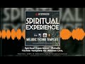 Spiritual Experience Melodic Techno Template | Ableton Live, Logic Pro X, Cubase, FL Studio
