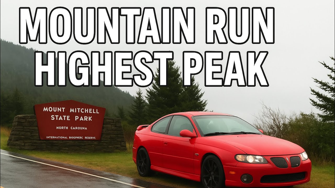 Driving My GTO Where It Doesn’t Belong