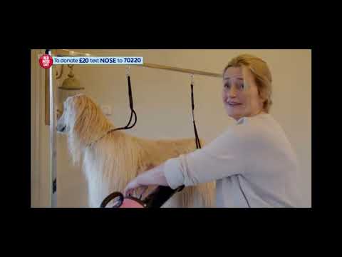 The One Show - Urban Paws UK