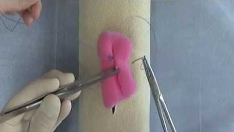 Lembert Suture Pattern