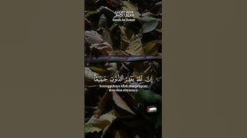 قرآن كريم #اكسبلور #فلسطين