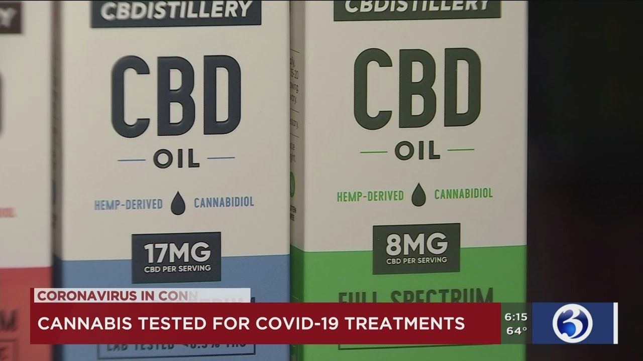VIDEO: Fact or Fiction - Cannabis stops COVID-19 from infecting people