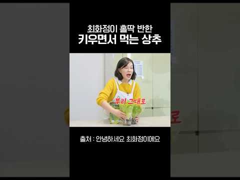 최화정이 홀딱반한 트레이더스 추천템은?