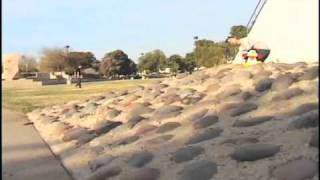 Chris Mango Milic Cant Hardly Skate part