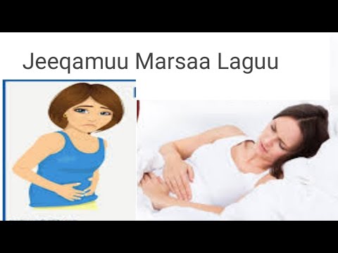Jeeqamuu Marsaa Laguu Fi Furmaata Isaa