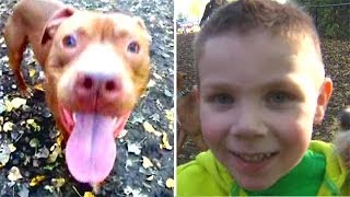 Pitbull Saves Toddler's Life