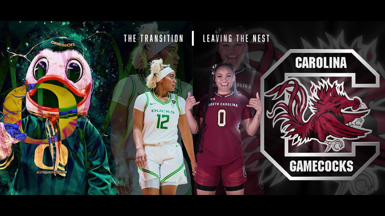 The Transition/Leaving The Nest