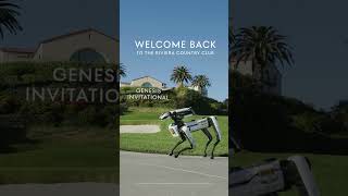New friends. Same iconic Riviera. Welcome back to the Genesis Invitational. #GenesisUSA
Genesis Invitational. February 19-22.
Subscribe to Genesis USA: https://bit.ly/Genesis_YT
Follow Genesis USA:
Facebook: https://bit.ly/Genesis_FB
Twitter: https://bit.ly/Genesis_TW
Instagram: https://bit.ly/Genesis_IG
TikTok: https://bit.ly/Genesis_TT
More from Genesis USA:
Genesis G70: https://bit.ly/3jHOyqN
Genesis G80: https://bit.ly/3g7s3cF
Genesis Electrified G80: https://bit.ly/3e8C4dT
Genesis G90: https://bit.ly/3eYJYB2
Genesis GV60: https://bit.ly/3argvUd
Genesis GV70: https://bit.ly/39bDgHh
Genesis GV80: https://bit.ly/2FeuZaq
Crafting the future by disrupting today. As a young brand, we don’t have the luxury of dipping into archives or resting on tradition when it comes to design. Instead, we approach each new vehicle and experience from a blank canvas. It’s how we were able to create a new design language that’s built into each of our vehicles. Its why we pushed boundaries of what one could expect from an EV, which resulted in our all-electric GV60. Its the reason why the G70 is an auto-enthusiast favorite, the G90 is an expression of pure elegance and the GV80 + GV70 SUV duo push the category forward.
On this channel, you’ll find all-things Genesis. From vehicle discovery and ownership to content that builds the world of Genesis. You’ll witness the building of our DNA in real time. Our always-on exploration and push for beautifully crafted luxury that naturally commands attention and is truly unforgettable. So, stay a while and explore. And, most importantly, welcome to Genesis.
#GenesisUSA #GenesisInvitational #Shorts New friends. Same iconic Riviera. Welcome back to the Genesis Invitational. #GenesisUSA