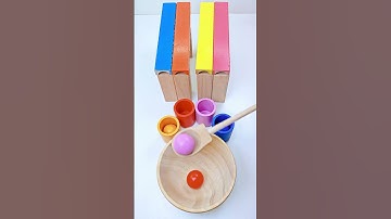 Color Sorting ASMR#asmr #funny #video #youtube #ytshorts