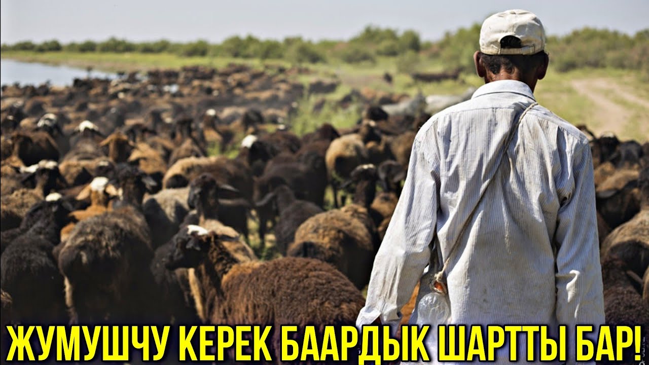 СРОЧНО ЖУМУШ ИЗДЕГЕНДЕР КӨРСҮН 💥💥 #байтв - YouTube