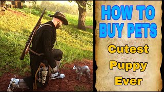 How To Buy Pets in Red Dead RP  Dakota River Bend Server  Cutest Puppy Ever