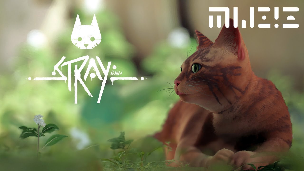 Stray - Music video (Neon Whiskers)