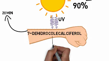 ¿En qué hormona se convierte la vitamina D?