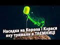 ЛОВЛЯ КАРАСЯ та КОРОПА в 2023 на ВОДОГРАЙ