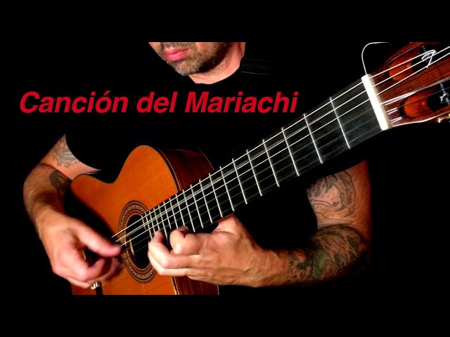 The guitar in the wood of El Mariachi (Antonio Banderas) in