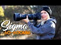 Sigma 60-600 mm lens FIRST IMPRESSIONS for wildlife photography, landscapes &amp; more