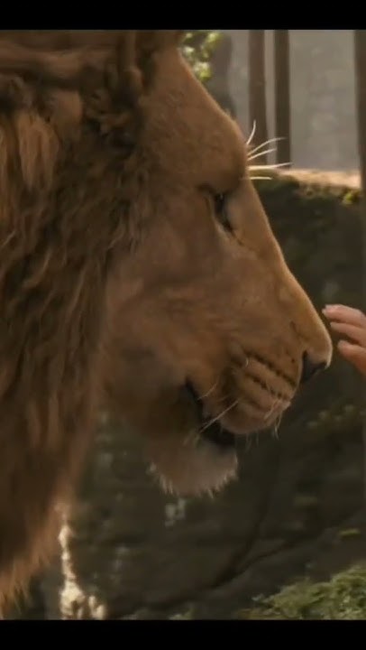 Narnia günlükleri aslan - YouTube