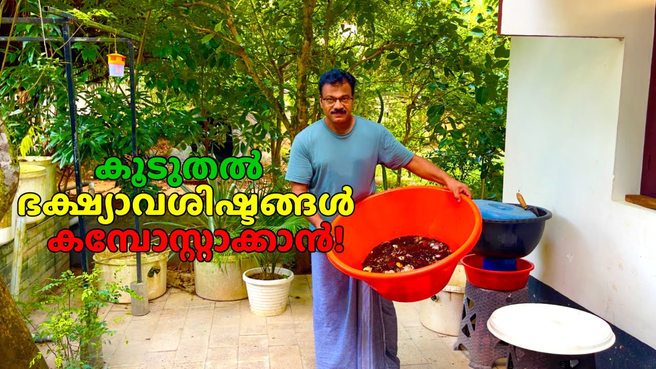 വായ്‌വട്ടം കൂടിയ ചട്ടികൾ ഉപയോഗിച്ചാൽ ദുർഗന്ധമില്ലാതെ BSF Larvae ഉപയോഗിച്ച് എളുപ്പം കമ്പോസ്റ്റാക്കാം