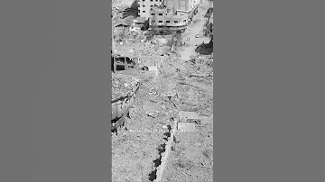 موطني Shorts Edit Explore Youtube Palestine Sad 