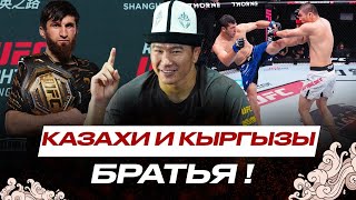 видео: картинка: