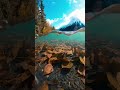 Аляска - Кристально прозрачная вода