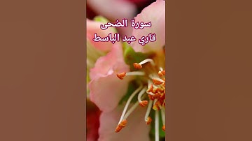 سورة الضحى قاري عبد الباسط..surah ad duha....#live #yasin #adduha #اية_الكرسي