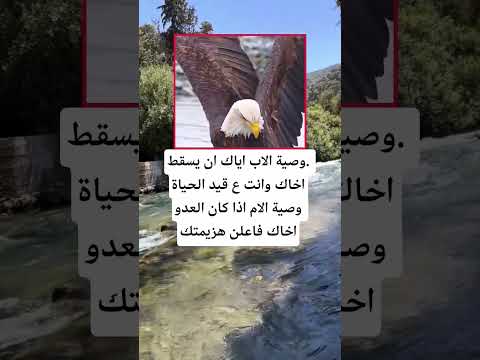 وصية الاب اياك ان يسقط اخاك اكسبلور الله لايك 100 اقنباسات معلومات ترند