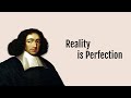 Spinoza: Human and Metaphysical Perfection (Steven Nadler / Alexander Douglas)